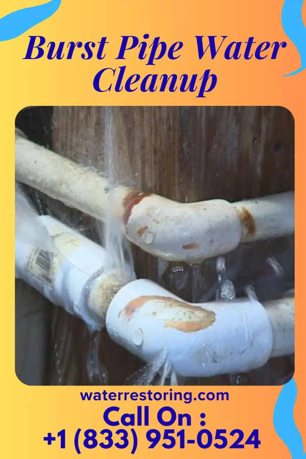 Burst Pipe Water Cleanup in Goodwin, SD