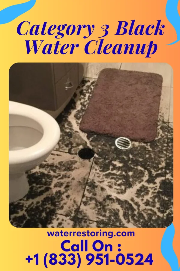 Category 3 Black Water Cleanup in Goodwin, SD