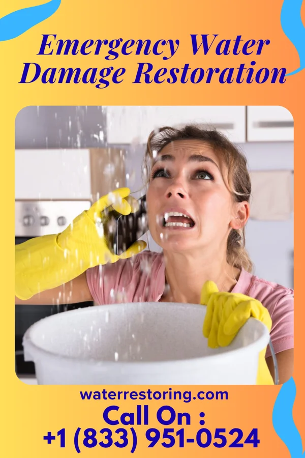 Emergency Water Damage Restoration in Goodwin, SD