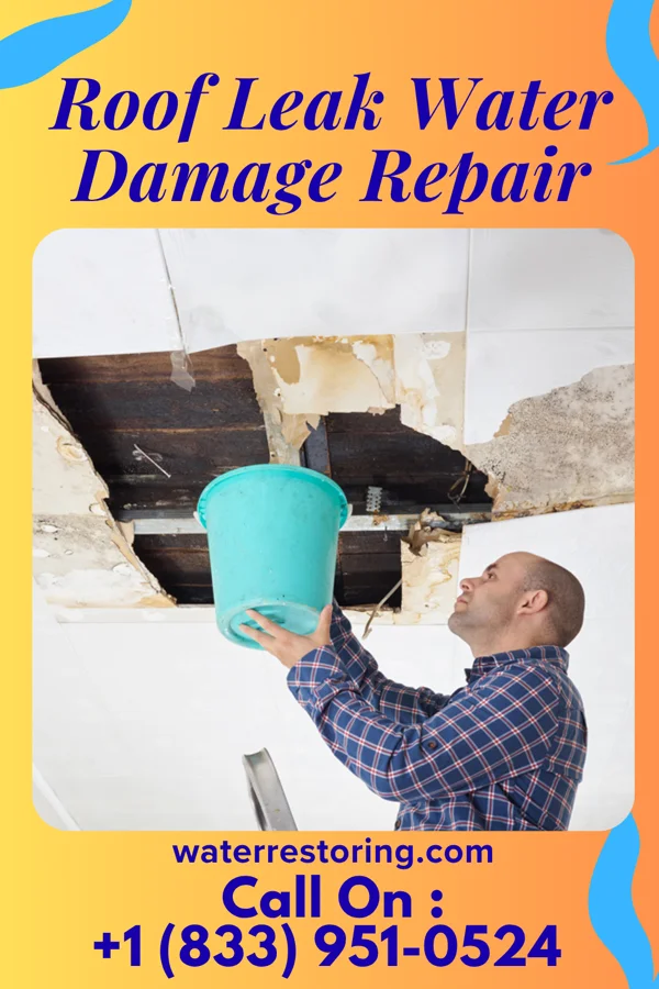 Roof Leak Water Damage Repair in Goodwin, SD
